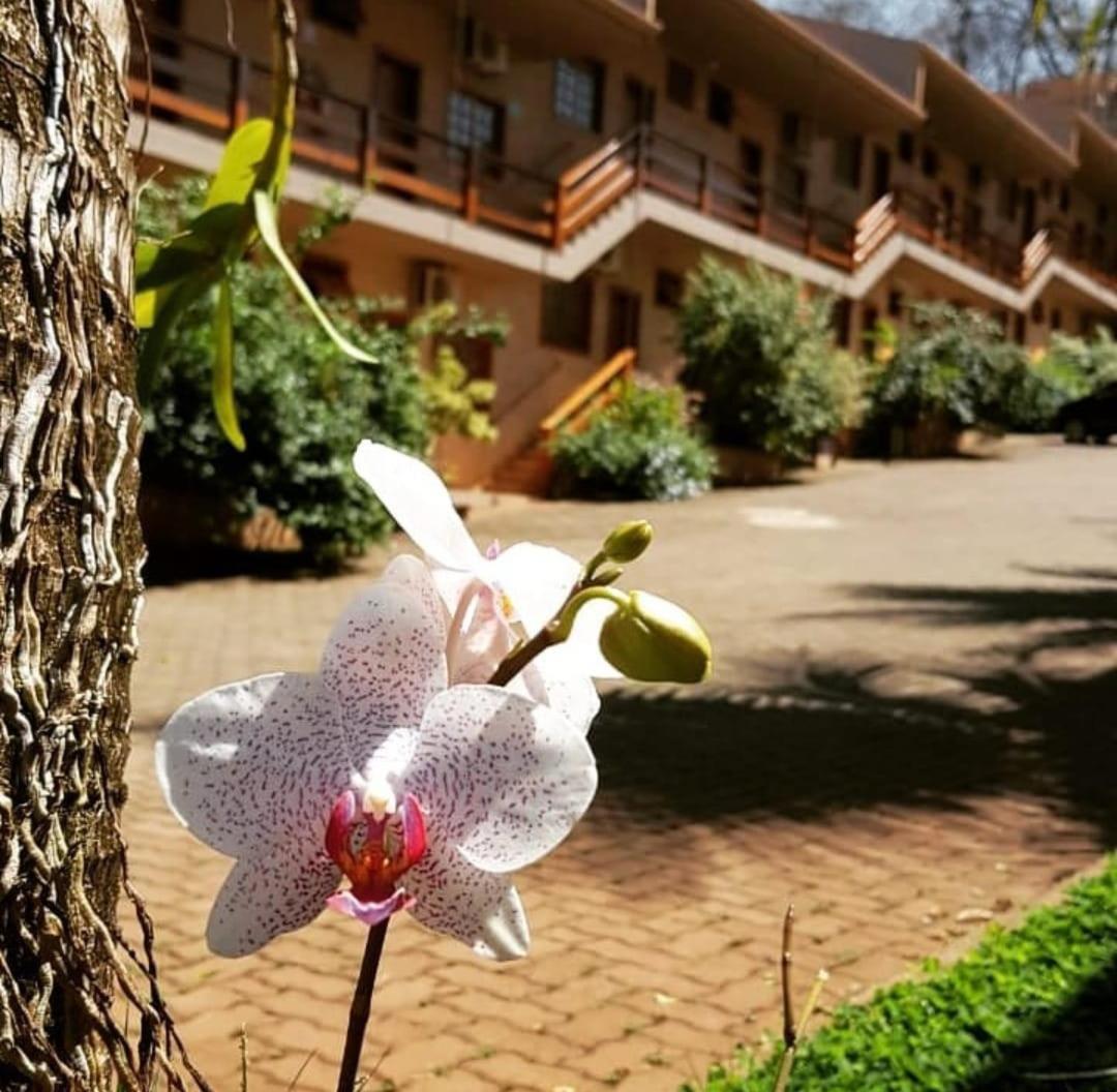 Hotel Pousada Santa Rita Ribeirão Preto Kültér fotó